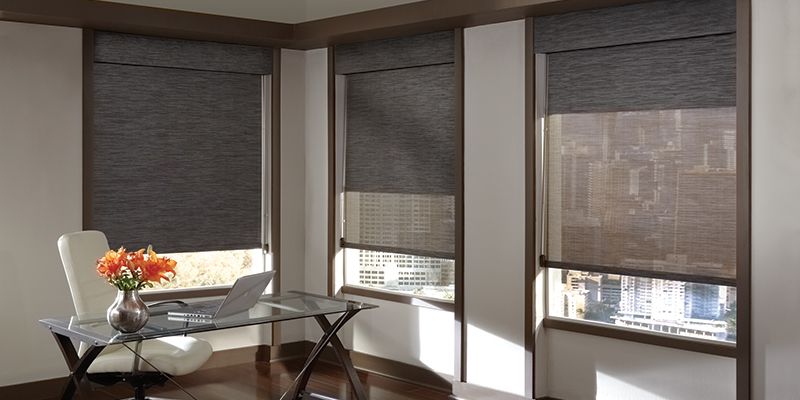 Dual Roller Window Treatment Seattle, WA