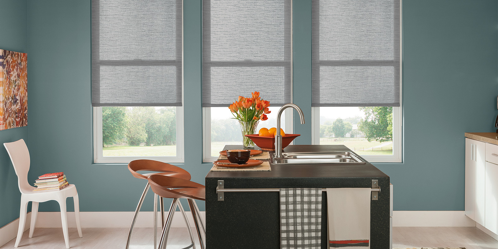 Graber Solar Shades Bellevue