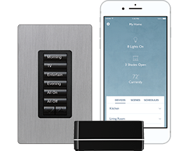 RadioRA 2 Blinds Seattle, WA