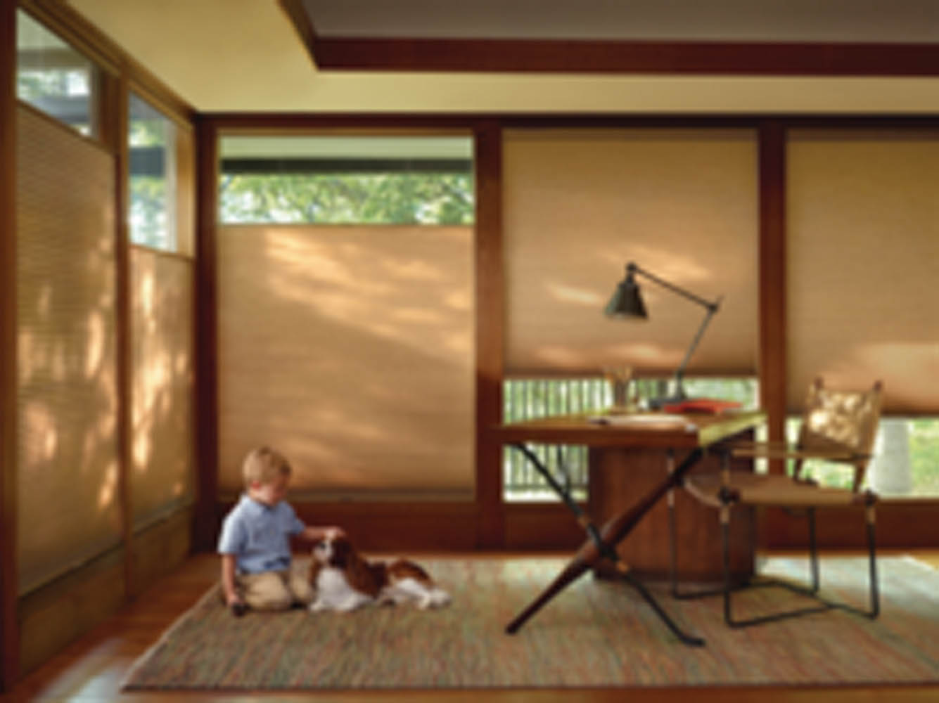 Cellular Honeycomb Shades Bellevue & Kirkland | FSI Blinds
